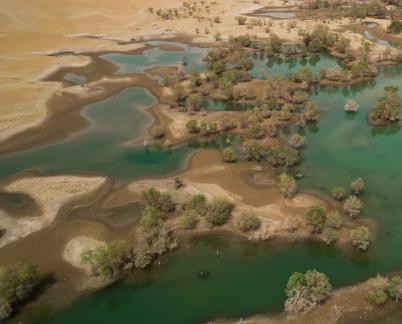 Desert River 18