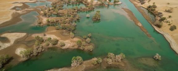 Desert River 19