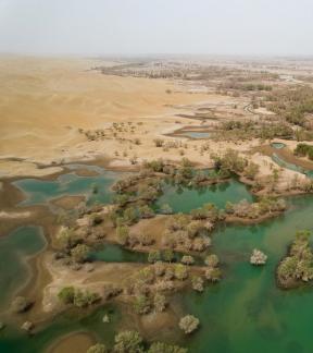 Desert River 20