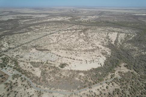 Large forests 1 Large forests 1