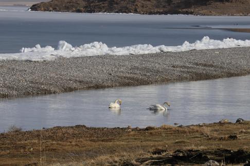 Ice lake melting 3