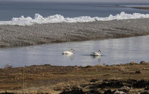 Ice lake melting 4