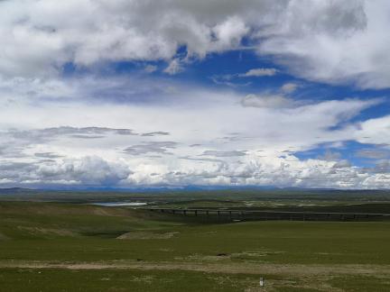 Yunmu Green Field 9