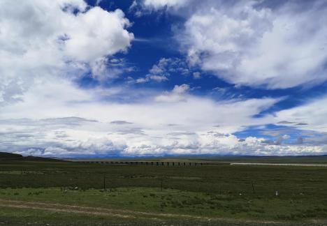 Yunmu Green Field 1