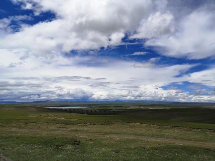 Yunmu Green Field 5