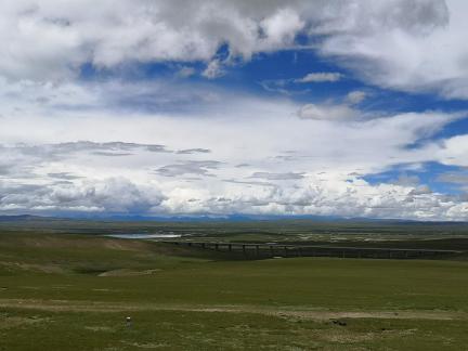 Yunmu Green Field 8 Yunmu Green Field 8