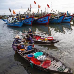 The vitality of the fishing port The vitality of the fishing port