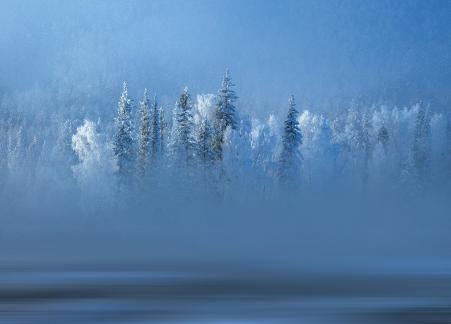 The Charm of Winter The Charm of Winter
