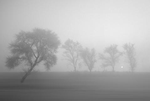 Scenery in the Mist Scenery in the Mist