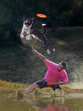 Dog 02 Dog 02