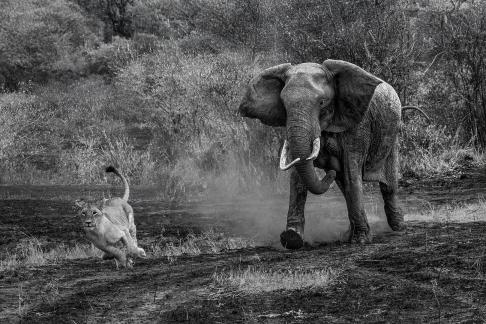 Kenya 19