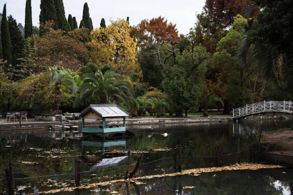 Old Pond