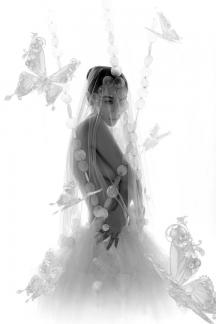 White Pearl Butterfly