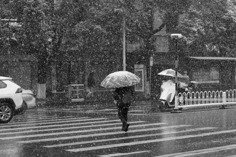 Snowflakes Dancing in the World 6