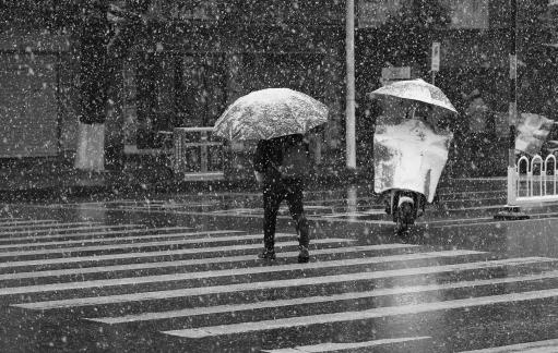 Snowflakes Dancing in the World 7