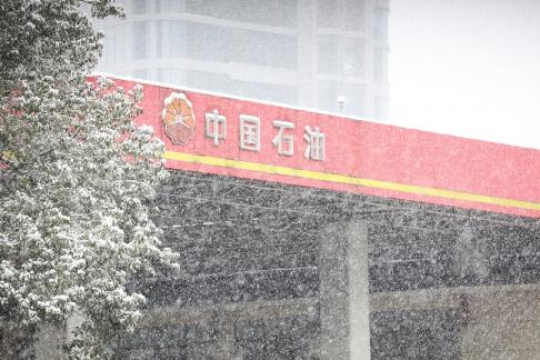 Snowflakes Dancing in the World 14