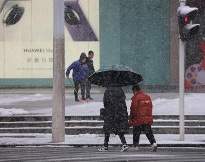 Snowflakes Dancing in the World 15