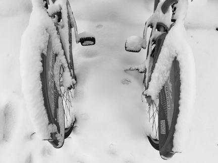 Snowy scenery 8