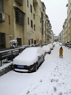 Snowy scenery 14