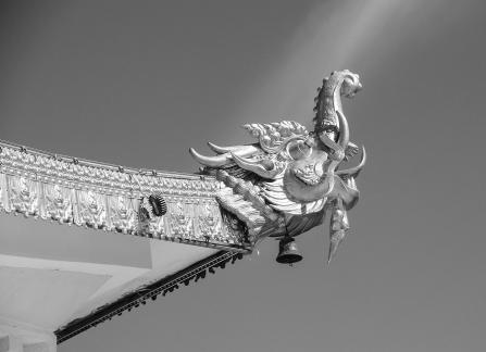 Human Buddhist Kingdom 7