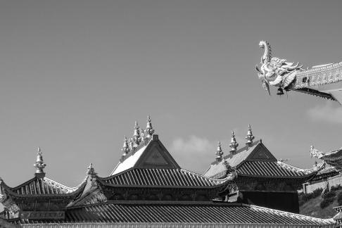 Human Buddhist Kingdom 9