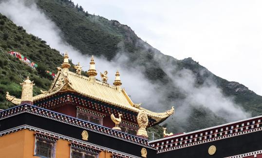Human Buddhist Kingdom 15