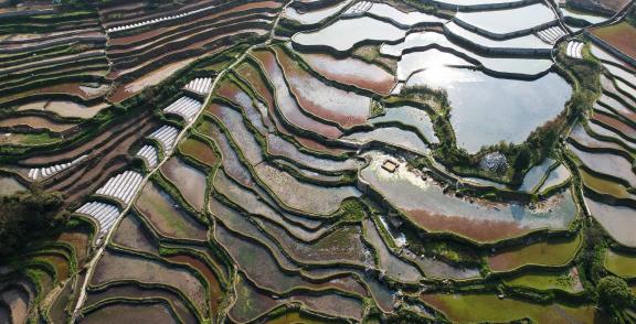 Terraced fields scenery 29