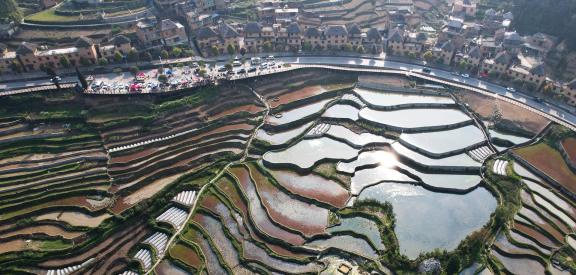 Terraced fields scenery 30
