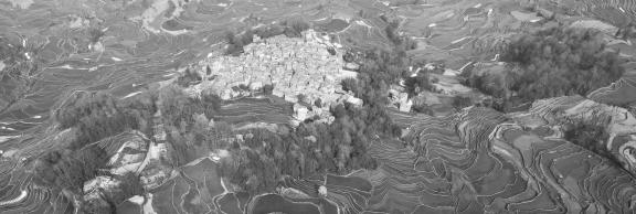 Terraced fields scenery 25