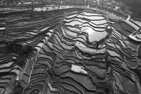 Terraced fields scenery 28