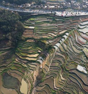 Terraced fields scenery 22