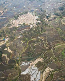 Terraced fields scenery 24