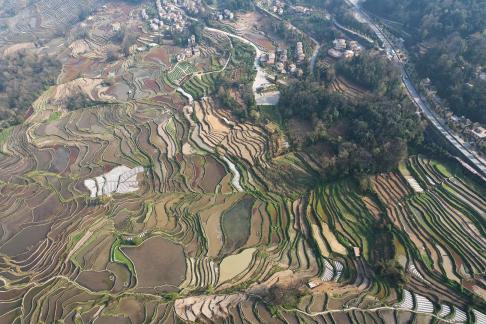 Terraced fields scenery 18