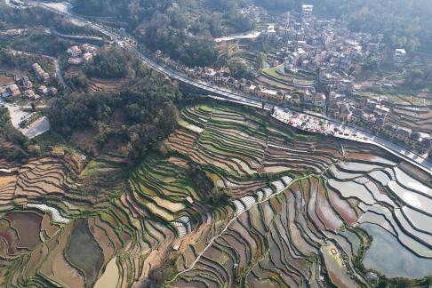 Terraced fields scenery 19
