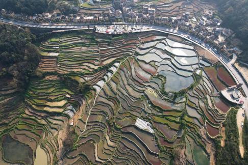 Terraced fields scenery 20