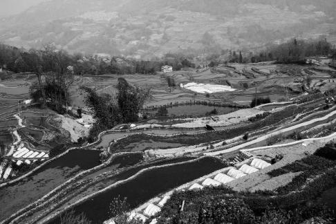 Terraced Fields Holy Scenery 18
