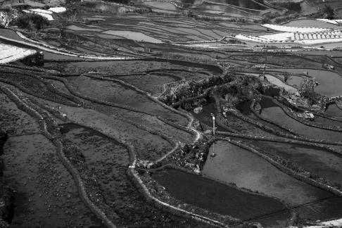 Terraced Fields Holy Scenery 19