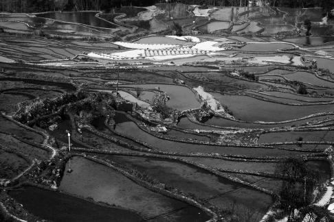 Terraced Fields Holy Scenery 20