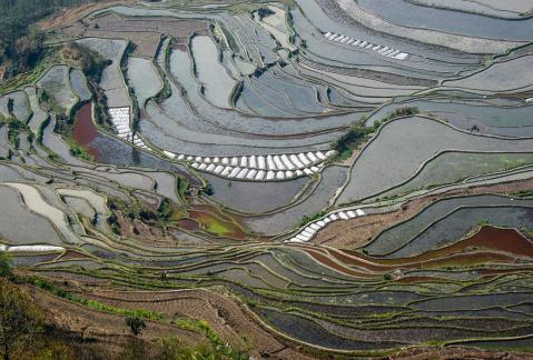 Terraced Fields Holy Scenery 7