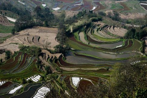 Terraced Fields Holy Scenery 9