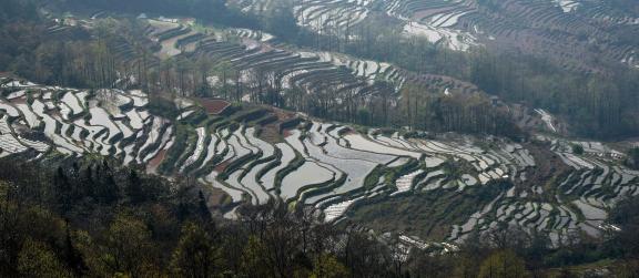 Terraced Fields Holy Scenery 10
