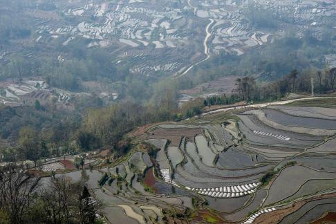 Terraced Fields Holy Scenery 11