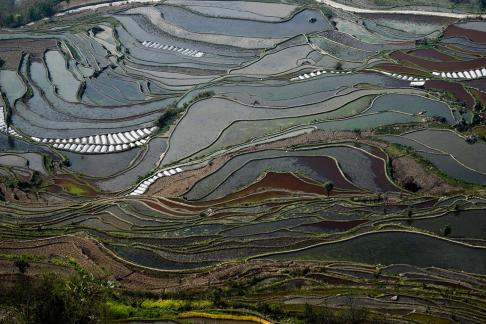 Terraced Fields Holy Scenery 12