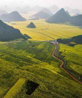 The Poetry of the Earth 27