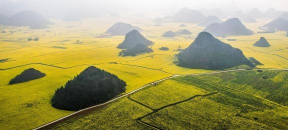 The Poetry of the Earth 28