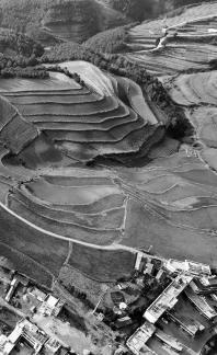 Green Valley Golden Steps 21