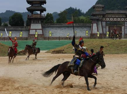 Equestrian performance 9