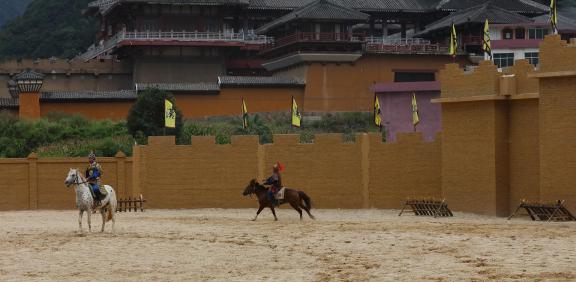 Equestrian performance 12