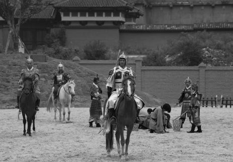 Equestrian performance 14