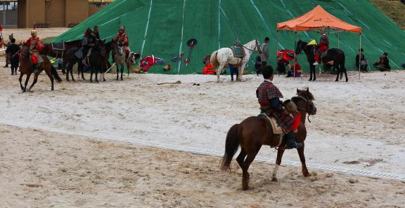 Equestrian performance 1